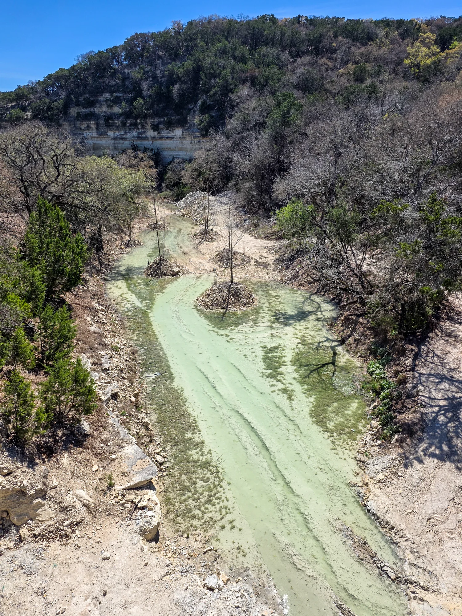 Limestone creek corridor and bluff at Arroyo Verde
